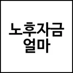 노후자금 얼마