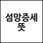 섬망증세 뜻