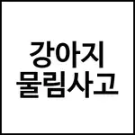 강아지 물림사고