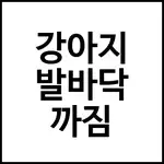 강아지 발바닥 까짐
