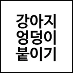 강아지 엉덩이 붙이기