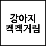 강아지 켁켁거림