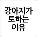 강아지가 토하는 이유
