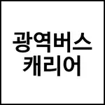 광역버스 캐리어