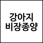 강아지 비장종양